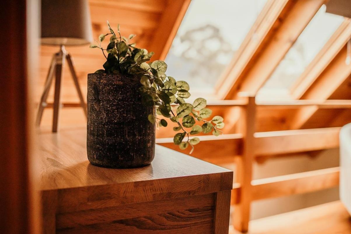 Otago Cottage Hobart Extérieur photo
